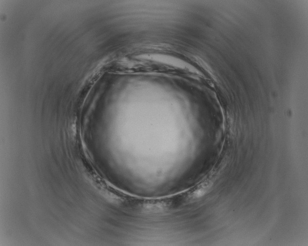 X0000077370357200611031917