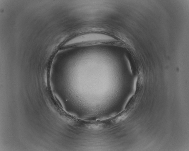 X0000077370358200611031917