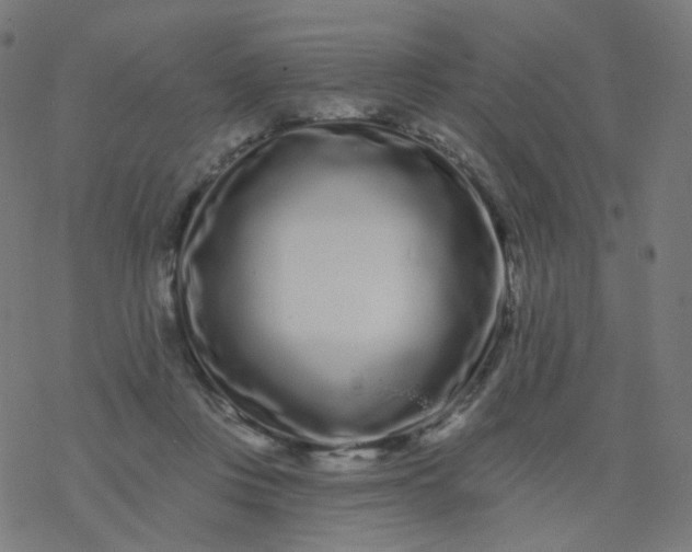 X0000077370359200611031917