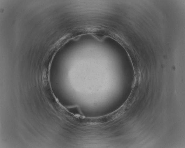 X0000077370360200611031917