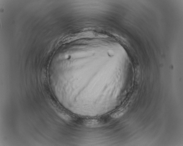 X0000077370361200611031917