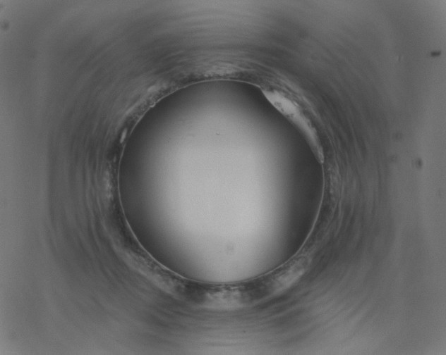 X0000077370362200611031917