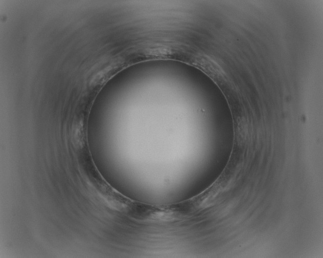 X0000077370364200611031917