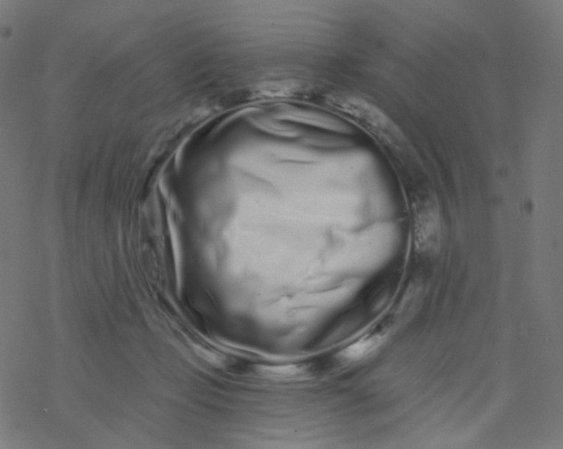 X0000077370365200611031917