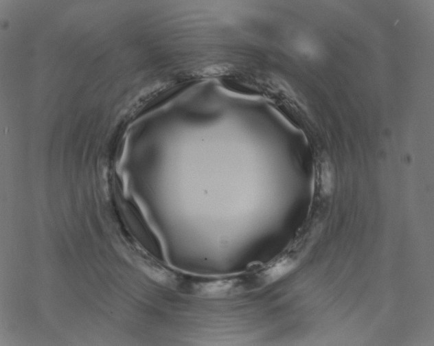 X0000077370366200611031917