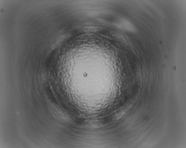 X0000077370367200611031917