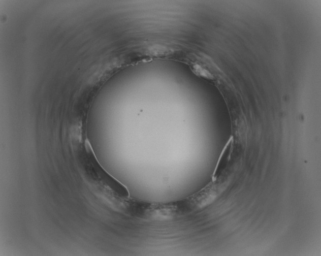 X0000077370368200611031917