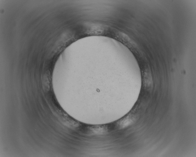 X0000077370370200611031917