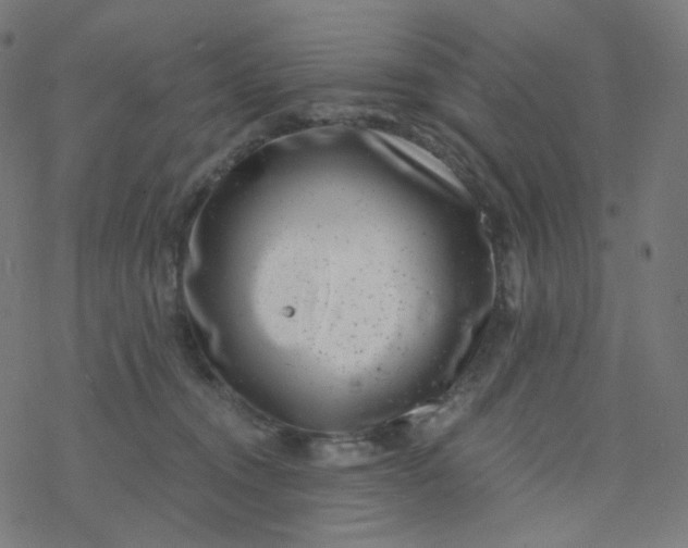 X0000077370372200611031917