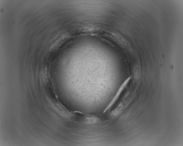 X0000077370376200611031917