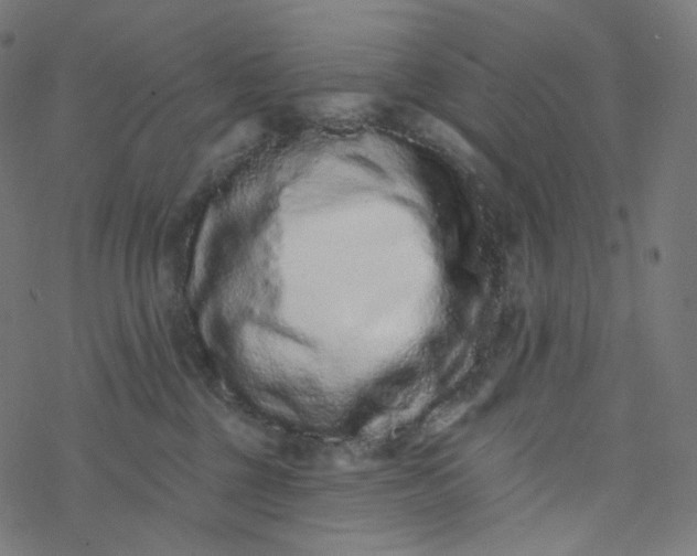 X0000077370377200611031917