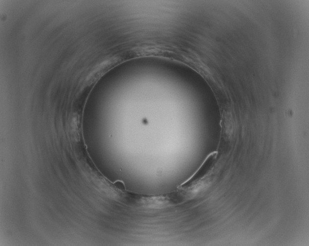 X0000077370378200611031917