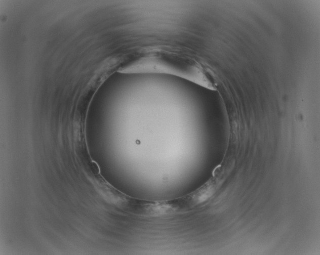 X0000077370379200611031917