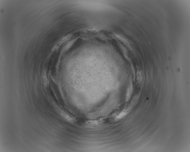 X0000077370381200611031917