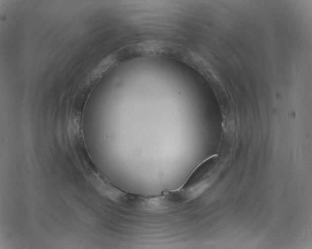 X0000077370382200611031917