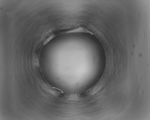 X0000077370384200611031917