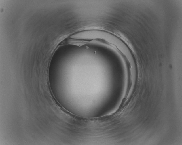 X0000077370385200611031917