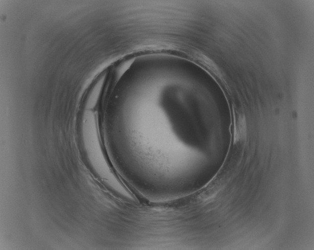 X0000077370387200611031917