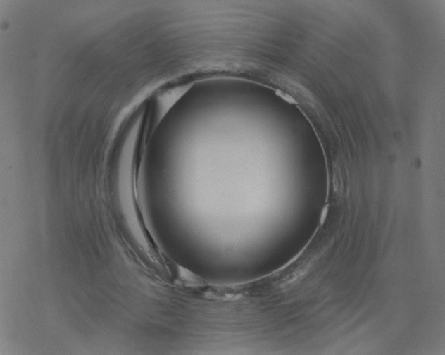 X0000077370388200611031916