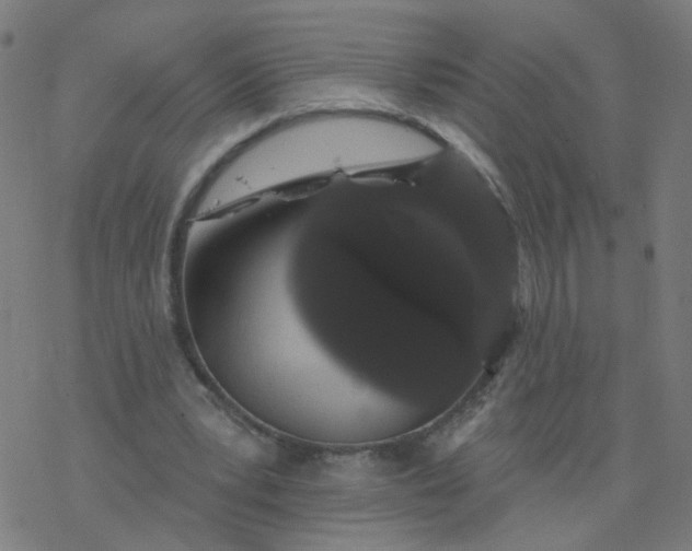 X0000077370391200611031916