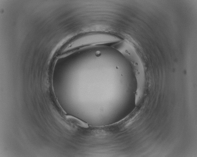 X0000077370392200611031916