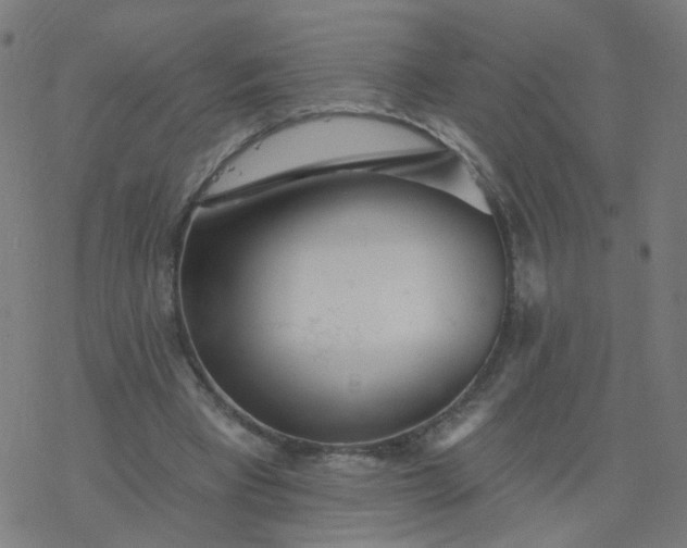 X0000077370393200611031916