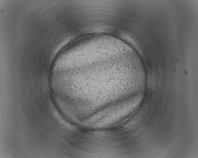 X0000077370394200611031916