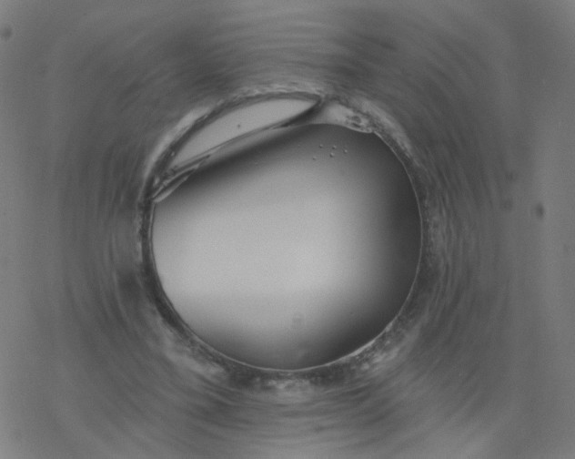 X0000077370395200611031916