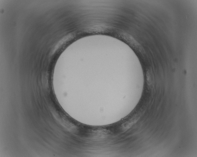 X0000077370396200611031916