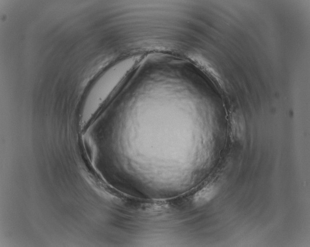 X0000077370398200611031916