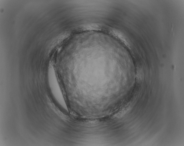 X0000077370402200611031916