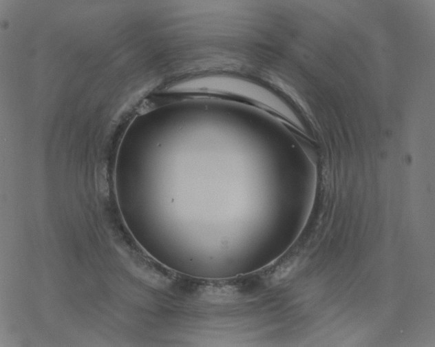 X0000077370403200611031916