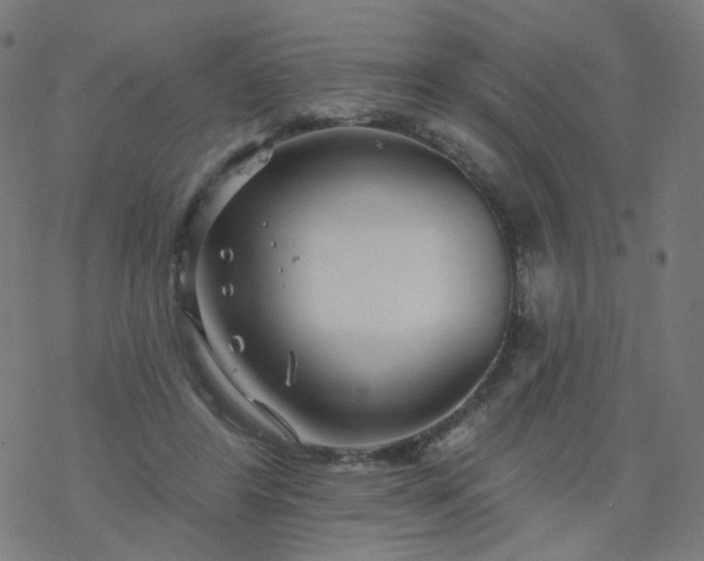 X0000077370404200611031916