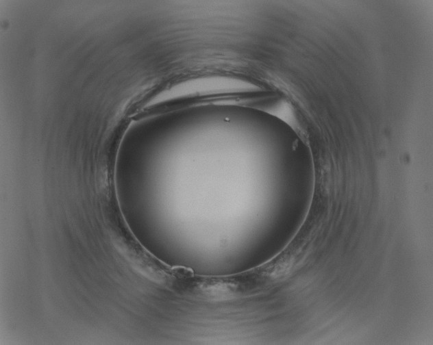 X0000077370407200611031916