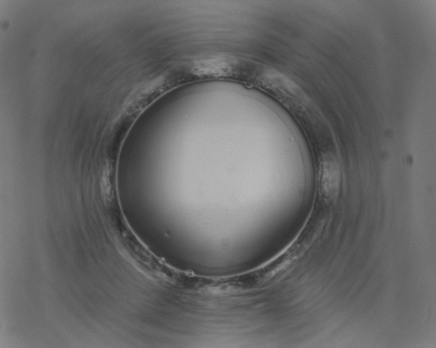 X0000077370408200611031916