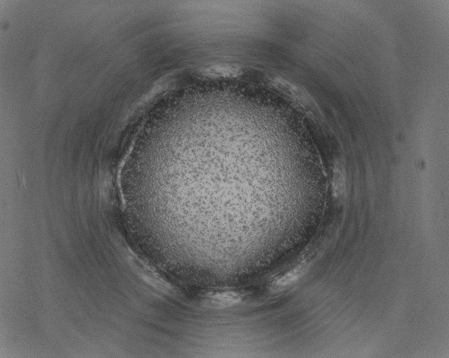 X0000077370409200611031916