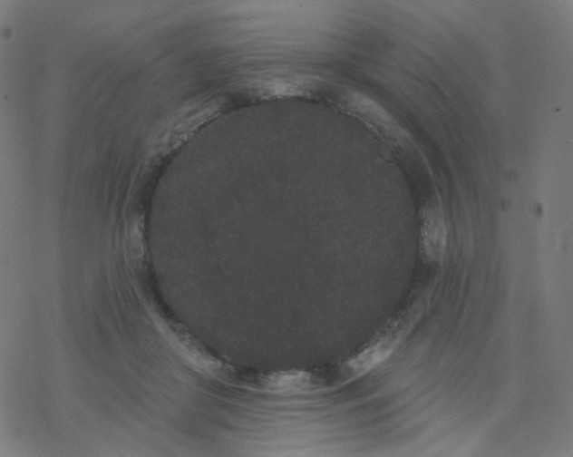 X0000077370410200611031916