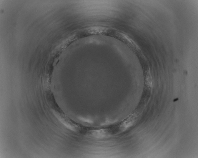 X0000077370411200611031916