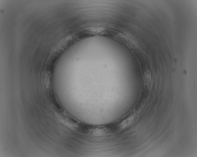 X0000077370412200611031916