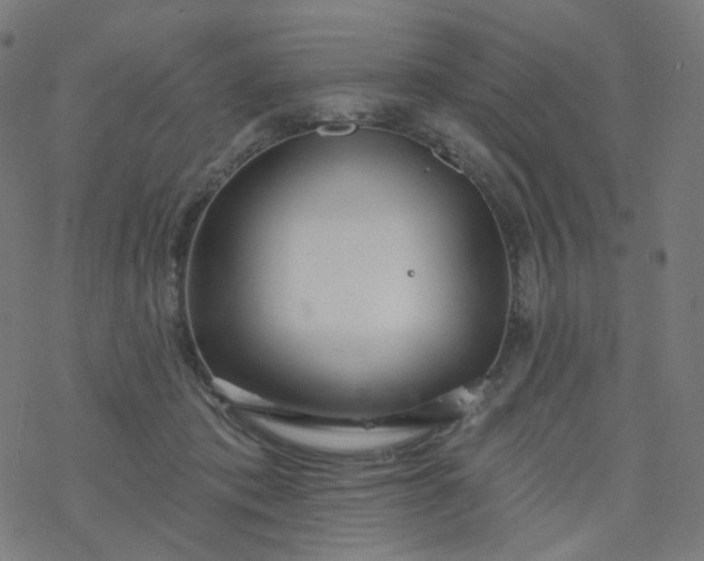 X0000077370413200611031916