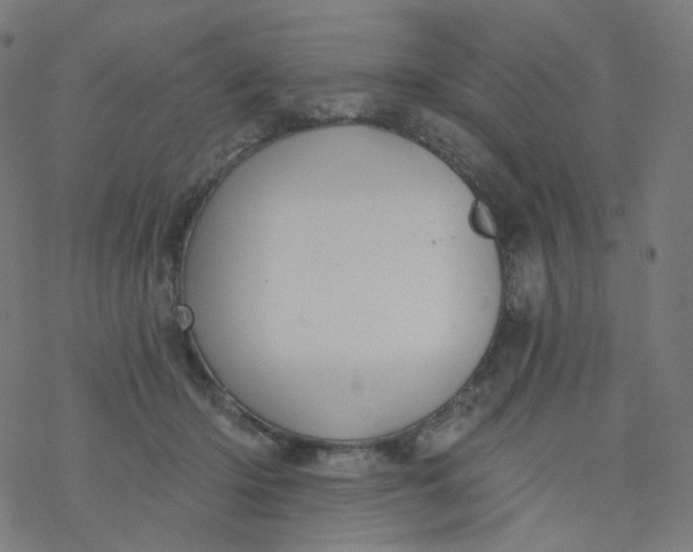 X0000077370414200611031916