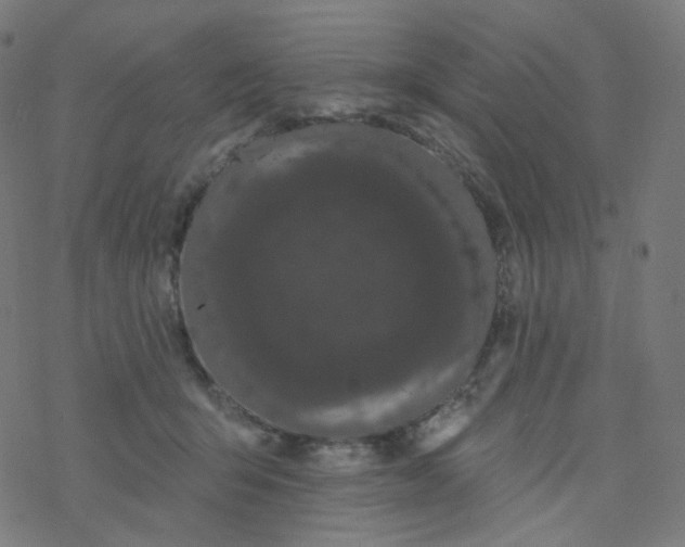 X0000077370415200611031916