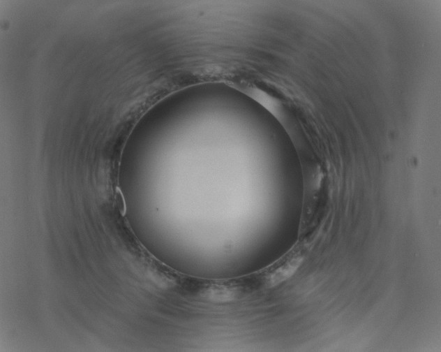 X0000077370416200611031916