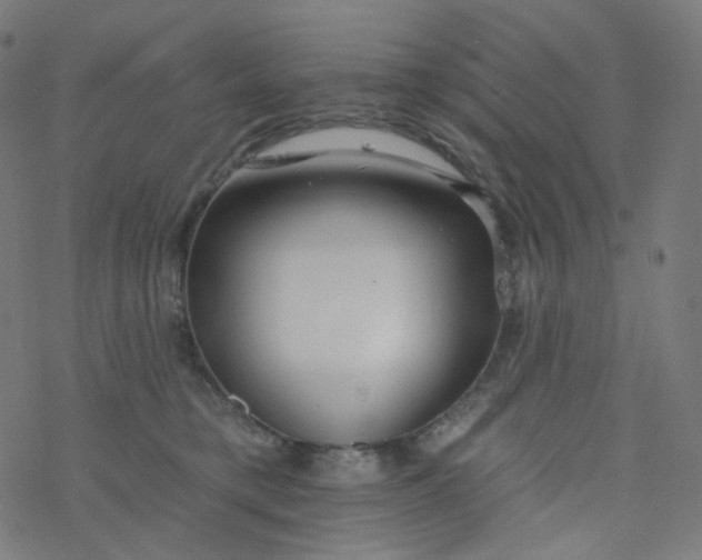 X0000077370421200611031916