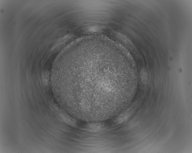 X0000077370423200611031916