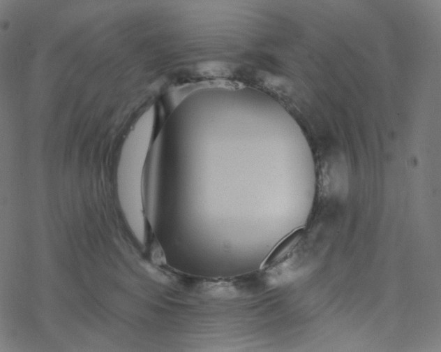 X0000077370424200611031916