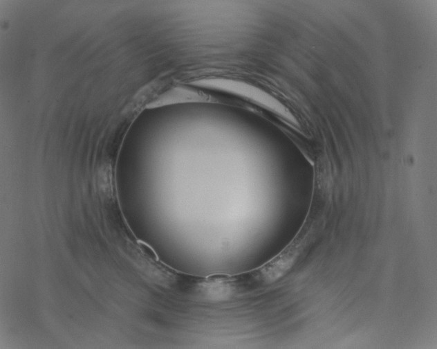 X0000077370425200611031916