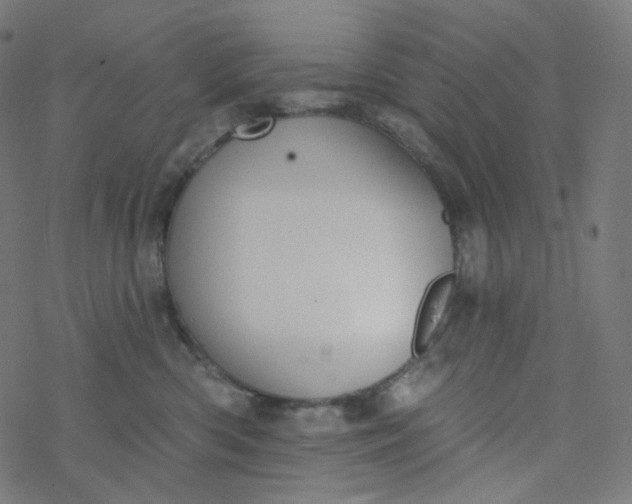 X0000077370426200611031916