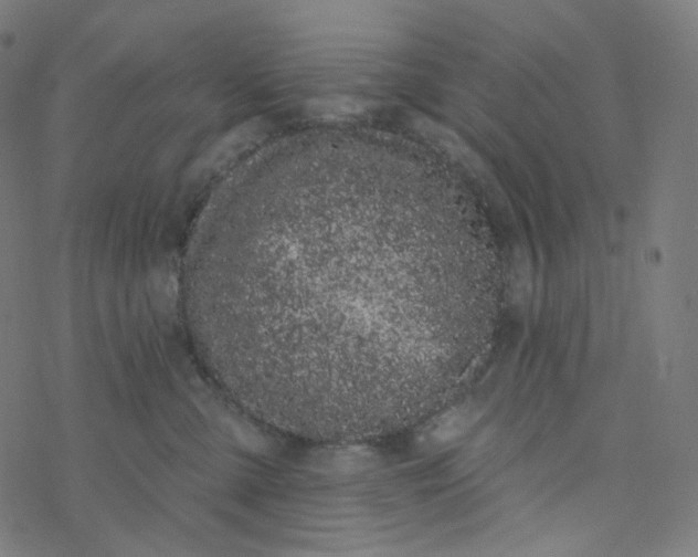 X0000077370427200611031916