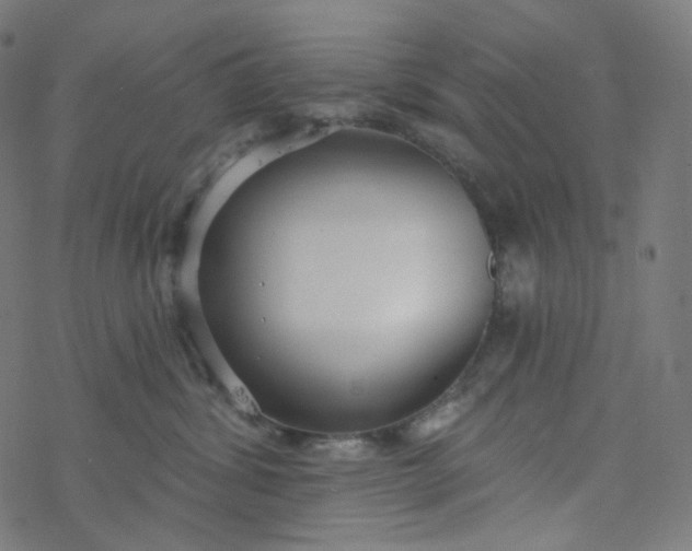 X0000077370428200611031916